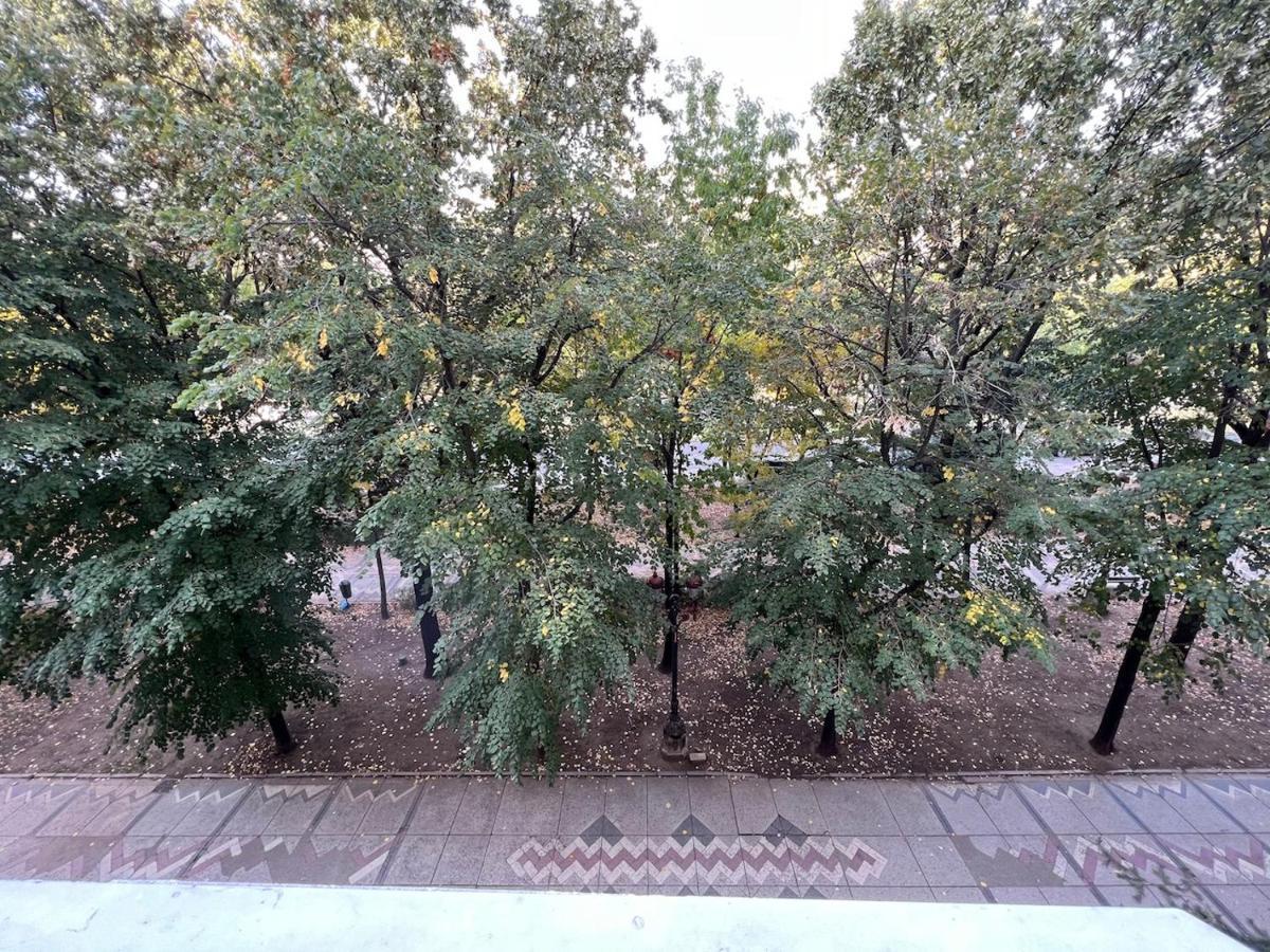Apartment Unirii Central Fountains View Bucharest